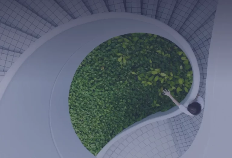Planet Centric Innovation: reinventant els negocis en clau verda