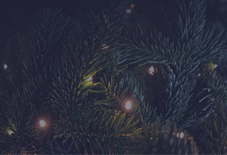 Un mes en matteria_ Bones Festes!