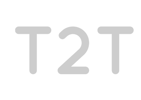 logo T2T gris