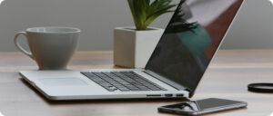 Accessibilitat web